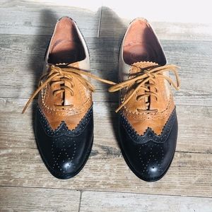 Jeffrey Campbell Tri colored Oxford